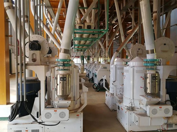 Complete Maize Mill Flour Processing Plant 