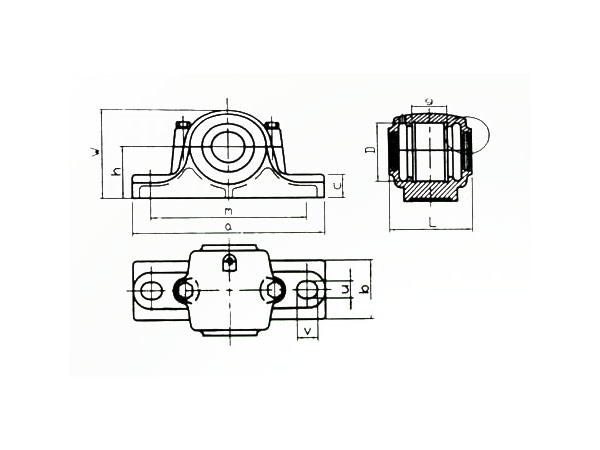P-SN200 